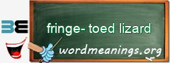 WordMeaning blackboard for fringe-toed lizard